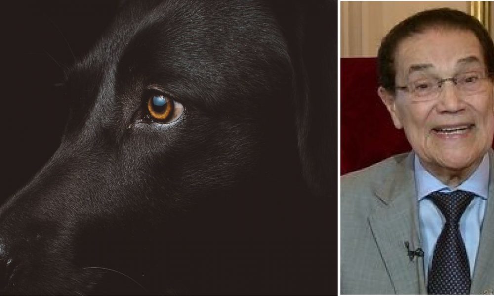 divaldo franco cães reencarnação